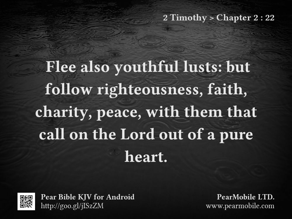 2 Timothy, Chapter 2:22